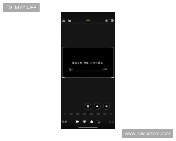 万博max手机版用户评价与反馈，真实玩家体验分享助你做出明智选择